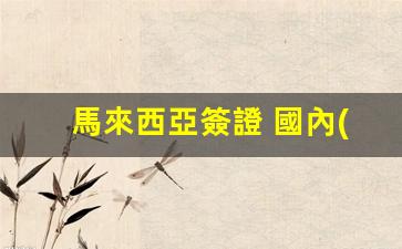 馬來西亞簽證 國內(nèi)飛機(馬來西亞簽證最新政策2024年)